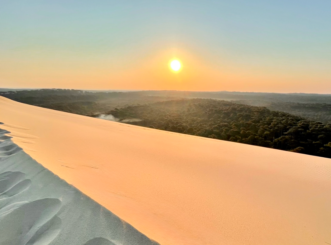 Dune du Pilat : tout ce qu'il faut savoir avant votre visite
